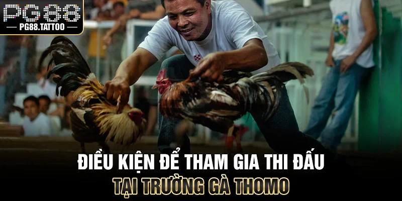 Điều kiện để tham gia thi đấu tại trường gà Thomo