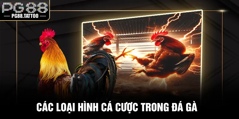 Các loại hình cá cược trong đá gà