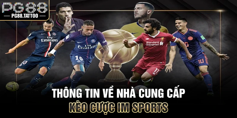 Thông tin về nhà cung cấp kèo cược IM Sports