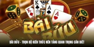 Bài Bửu | Trọn Bộ Kiến Thức Nền Tảng Quan Trọng Cần Biết