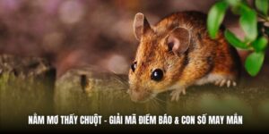 Nằm Mơ Thấy Chuột | Giải Mã Điềm Báo & Con Số May Mắn